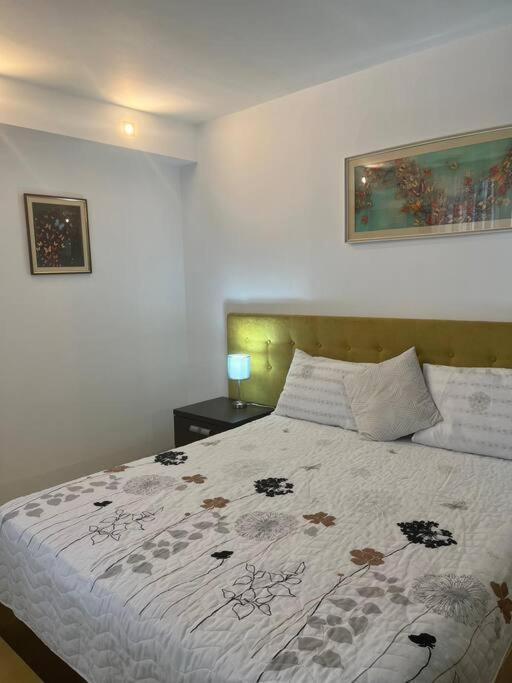 Apartament Theta- Langa Centru, Cada Hidromasaj Suceava Eksteriør bilde